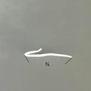 20-AL4